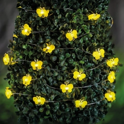 Solární LED světelný řetěz včelky 2,4 m, 25 LED, teplá bílá