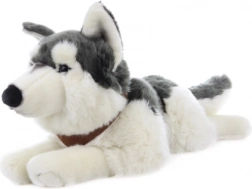 Plyšový husky ležící s popruhy 60 cm