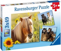 ravensburger puzzle milá koně 3×49 dílků