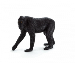 Mojo figurka makaka chocholatého – střední velikost