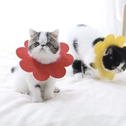 Měkký pooperační ochranný límec pro domácí mazlíčky, červený – velikost L