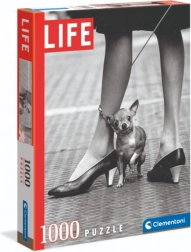 Puzzle Chihuahua od Clementoni 1000 dílků