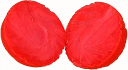 Odolný gumový míček pro psy 6 cm