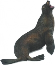 Lvoun hřívnatý Collecta