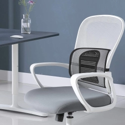 Ortopedická podpěra zad