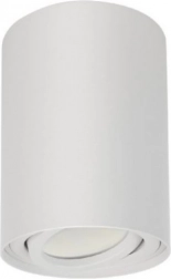 Stropní bodové svítidlo GU10 Bílé