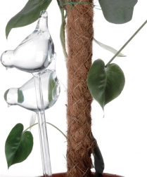 Skleněné samozavlažovací koule do květináčů – ptáčci, 2 ks