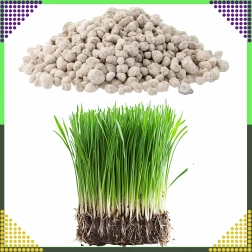 Vícesložkové hnojivo na trávník NPK 20-8-10 granulát 10 kg