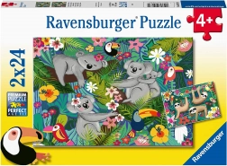 Puzzle RAVENSBURGER Koaly a lenochodi 2×24 dílků