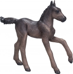 Mojo Arabské hříbě černé