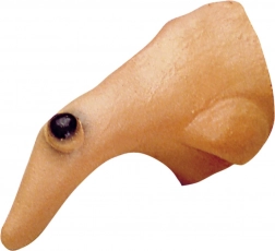 Čarodějnický nos s bradavicí