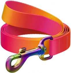 Vodítko pro psy WAUDOG, 20 mm široké, 122 cm dlouhé, oranžové