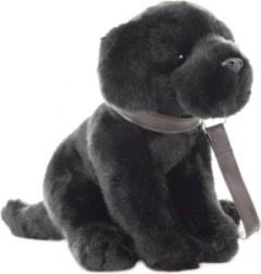 Plyšový labrador s vodítkem 30 cm – eco friendly