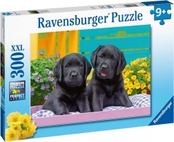 Ravensburger puzzle Puppy Life 300 dílků