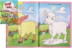 Aktivity Život na statku se samolepkami