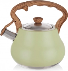 Pískací nerezová konvice GREENISH 3 l