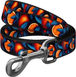 Nylonové vodítko pro psy s motivem Pomeranče 122 cm Waudog