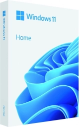 Windows 11 Domů 64bit USB Flash Drive