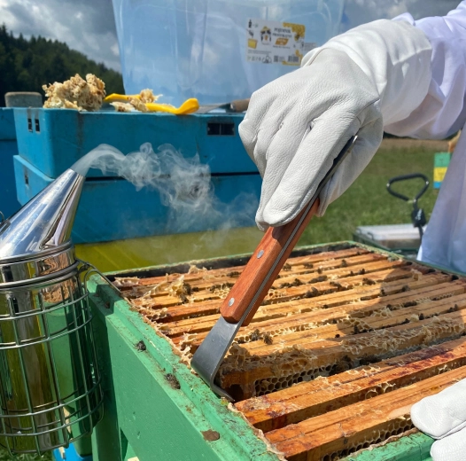 Odolná nerezová čepel