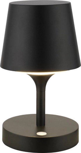 Venkovní LED zahradní lampa Retlux RGL 117