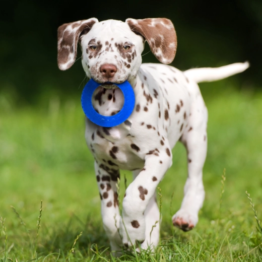 Kontrastní barvy pro snadné sledování