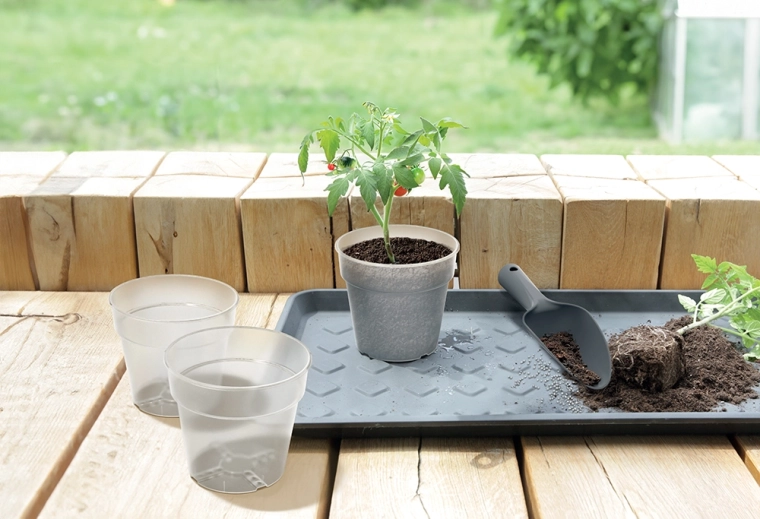 Podpora zdravého růstu