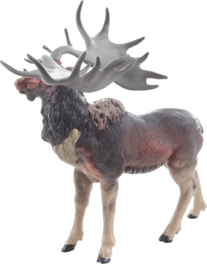 Stabilní postoj a bezpečné rozměry