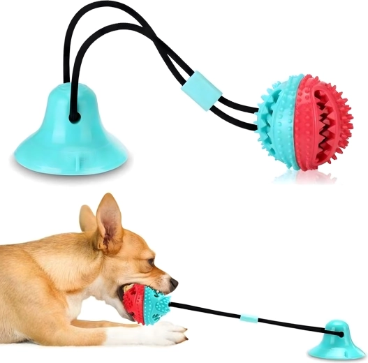 Čištění zubů a masáž dásní