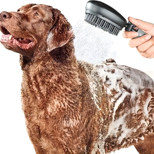 Sprcha a kartáč 2v1 pro rychlé a šetrné mytí