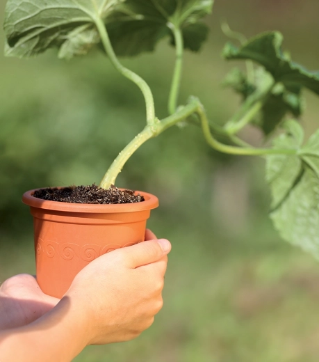 Lehký a odolný materiál