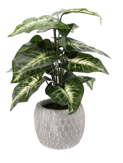 Bezúdržbová celoroční dekorace