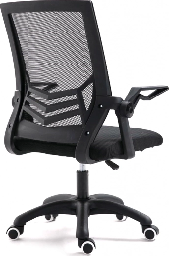 Ergonomická opora zad
