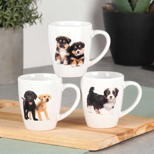 Bezstarostná údržba: myčka i mikrovlnka