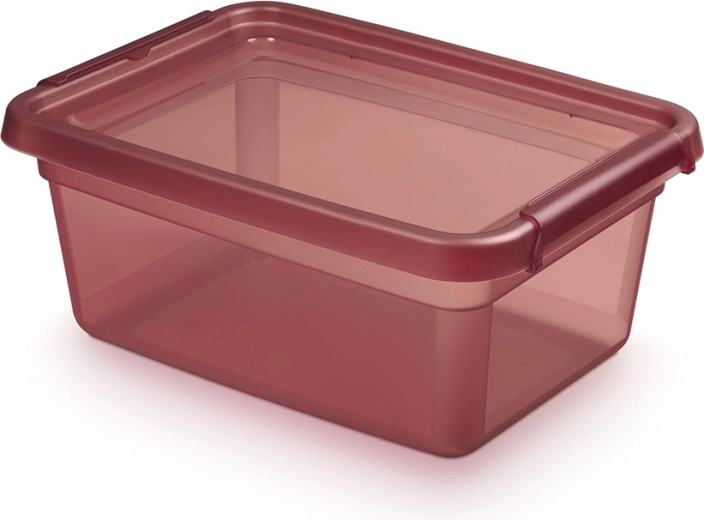 BASESTORE úložný plastový box s víkem a klipsy 12,5 l rhubarb