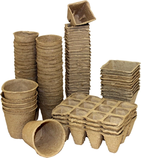 Optimální prostředí pro sazenice