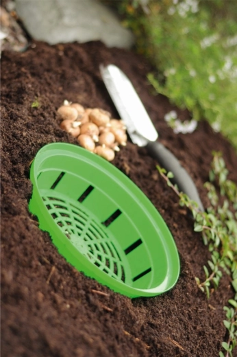 Snadné vyjmutí a přesazování