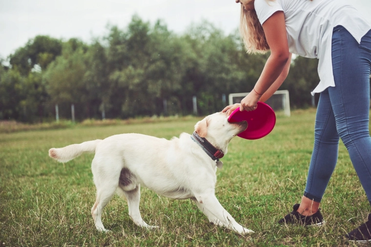 Vysoká viditelnost v parku i ve vzduchu