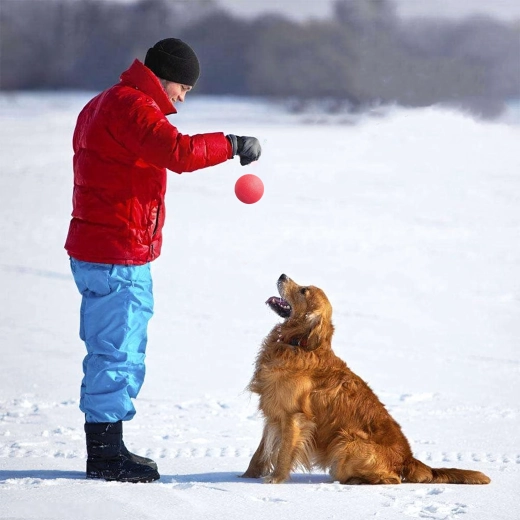 Skvělý na aport i do vody