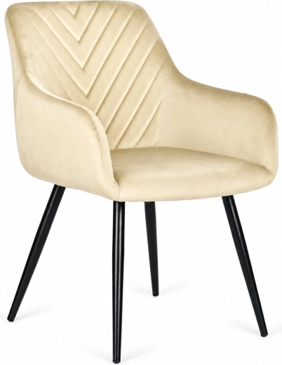 Sametové čalounění pro elegantní interiér