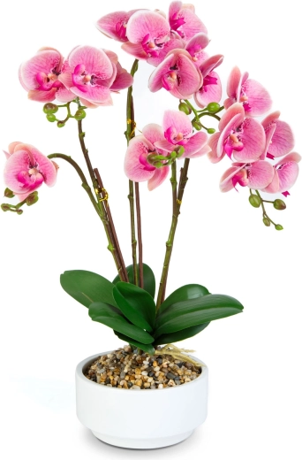 Realistický vzhled orchideje