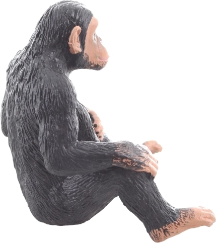 Skvělé pro vzdělávání a kreativitu