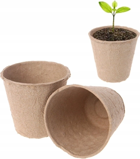 Přesazení bez stresu