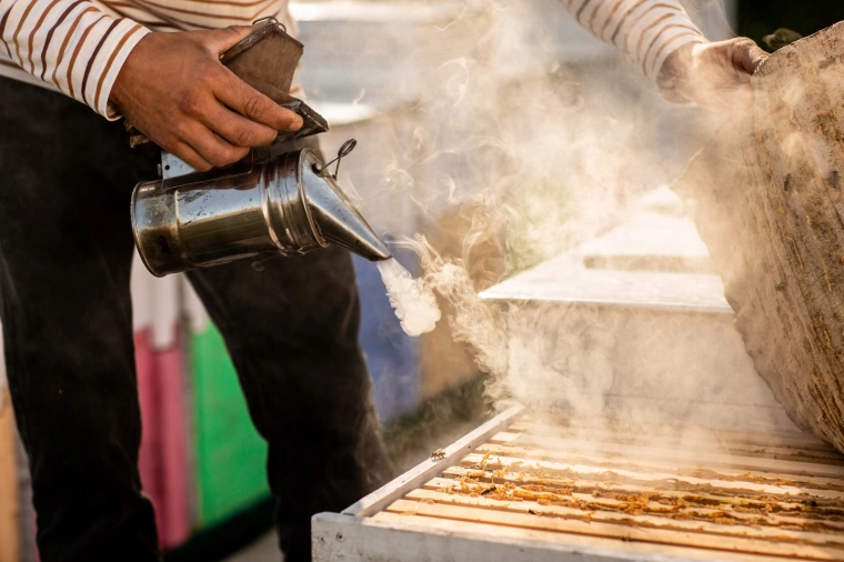 Přesné uklidnění včel při prohlídce úlu