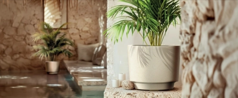 Dostatek prostoru pro růst