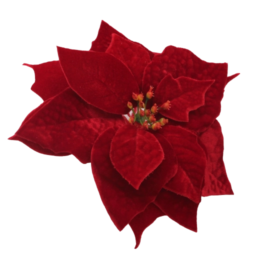 Elegantní bordová pro sváteční atmosféru