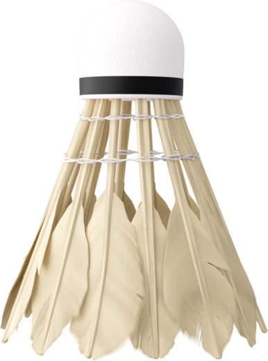 Stabilní a rychlý let díky kachním perům