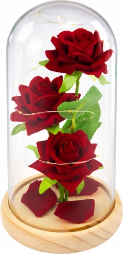 Elegantní skleněná kopule