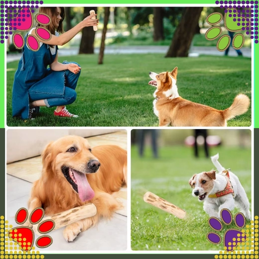 Zábava pro žvýkání i aport