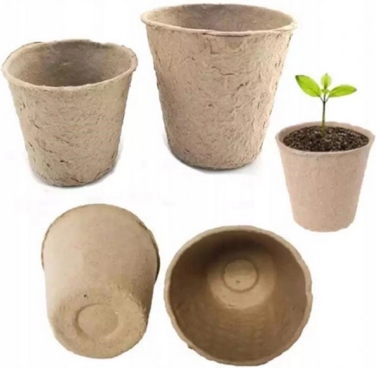 Zdravý kořenový systém