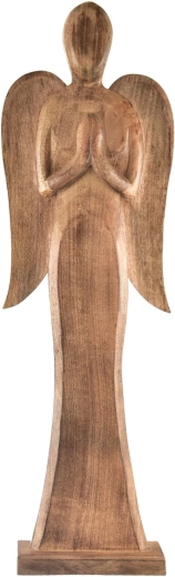 Anděl mango